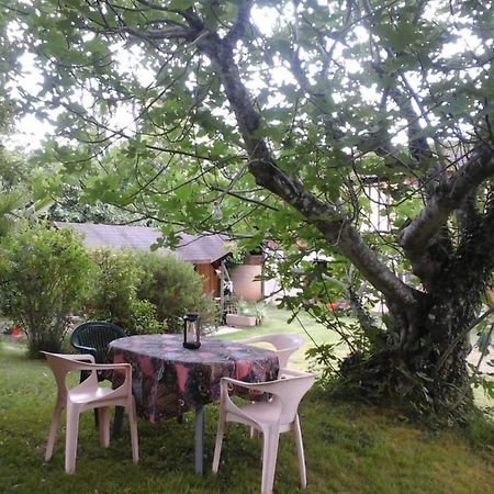 Gite L'Appel De La Foret Betplan Luaran gambar