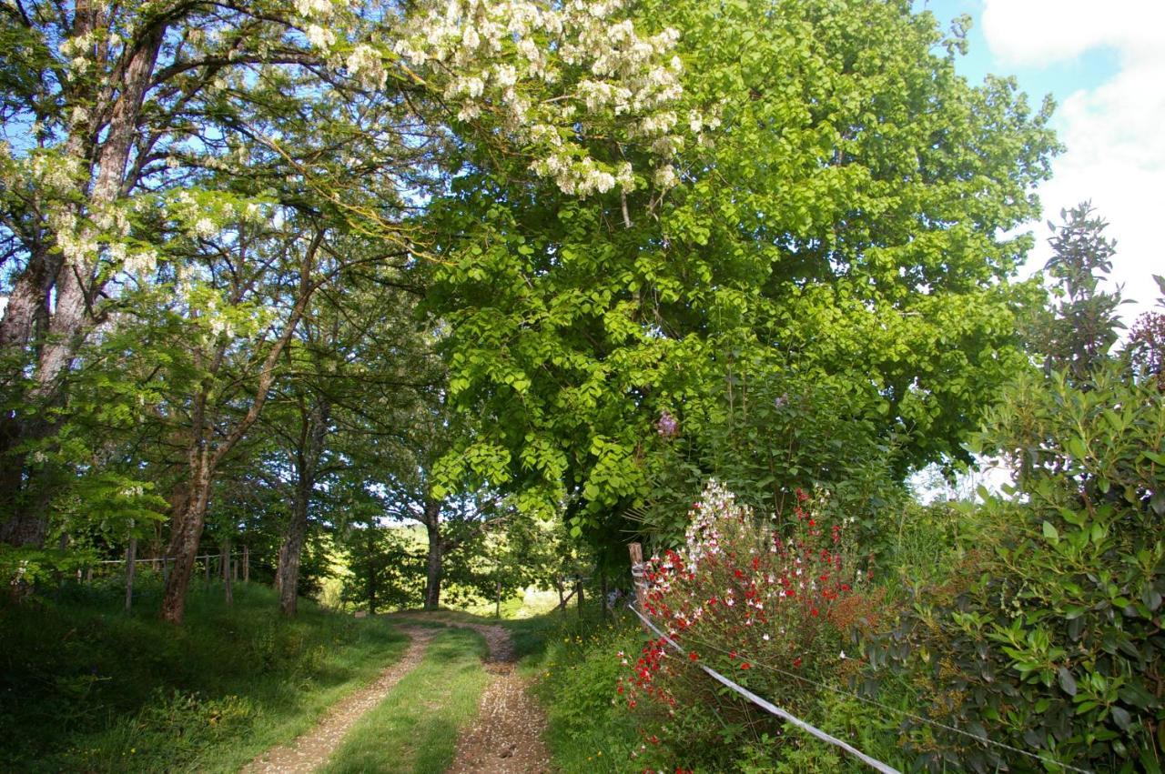 Gite L'Appel De La Foret Betplan Luaran gambar
