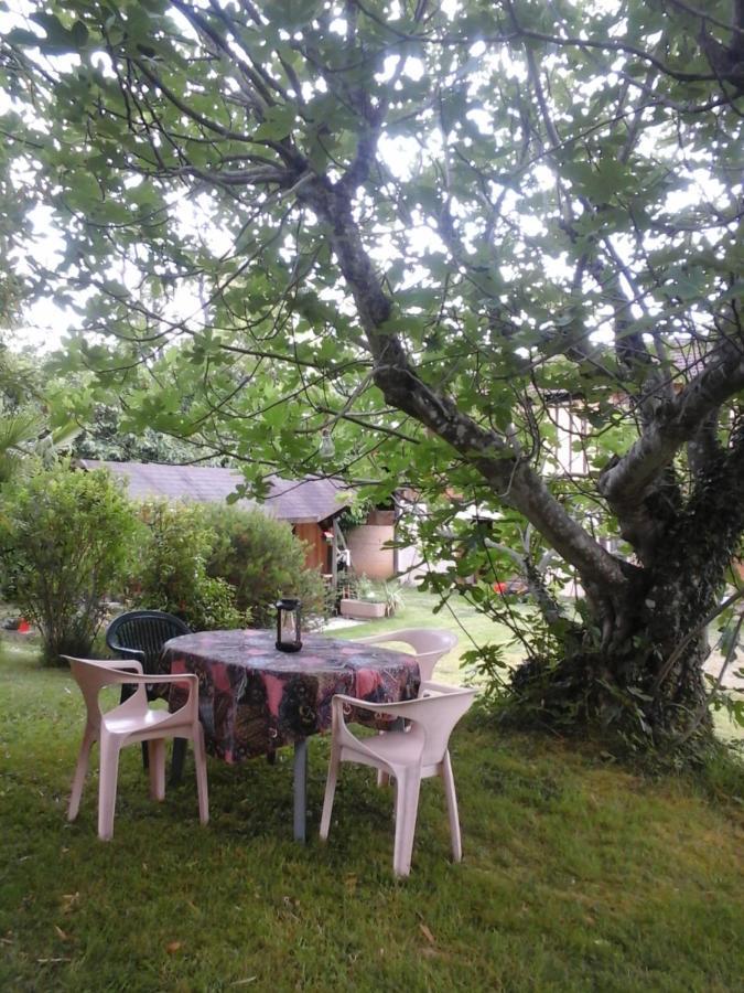 Gite L'Appel De La Foret Betplan Luaran gambar