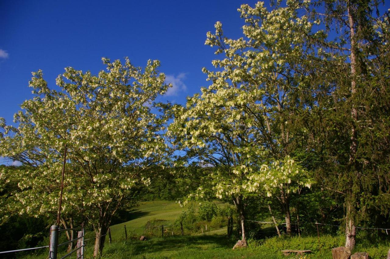 Gite L'Appel De La Foret Betplan Luaran gambar
