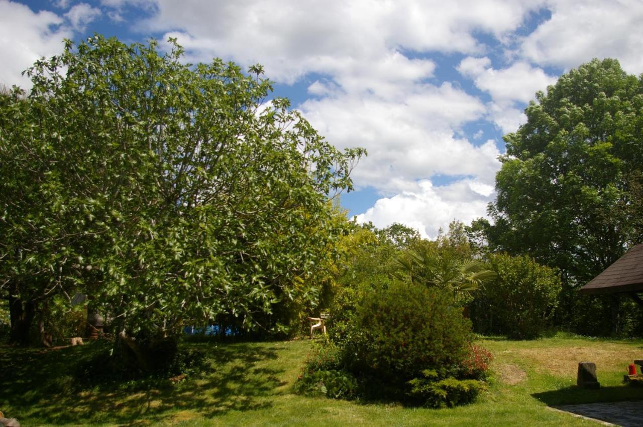 Gite L'Appel De La Foret Betplan Luaran gambar